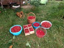 IMG-20180617-WA0000