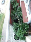 DSCN2058