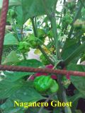 20180630_153057