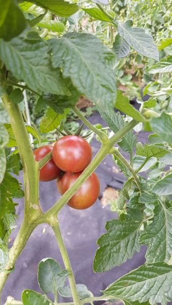 20180701_101101