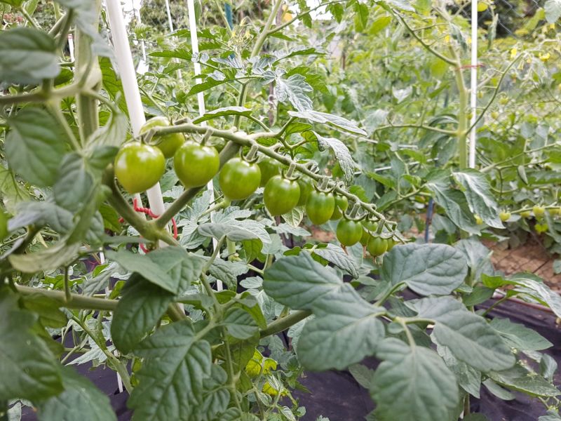 20180624_161752