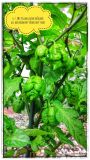 IMG_20180706_202211_HDR-01