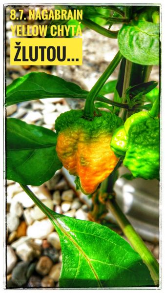 IMG_20180708_125851_HDR-01