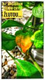IMG_20180708_125851_HDR-01