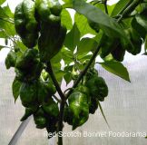IMG_20180709_004929