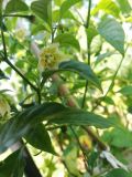 IMG_20180720_101657