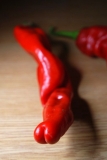 Red Peter Peppers (Pennis pepper)