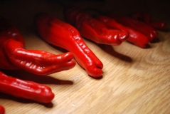Red Peter Peppers (Pennis pepper)