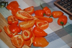 Sušená habanero paprička