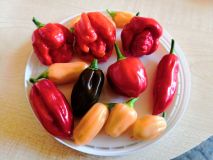 IMG_20180724_092948