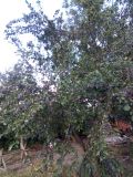 IMG_20180723_183313
