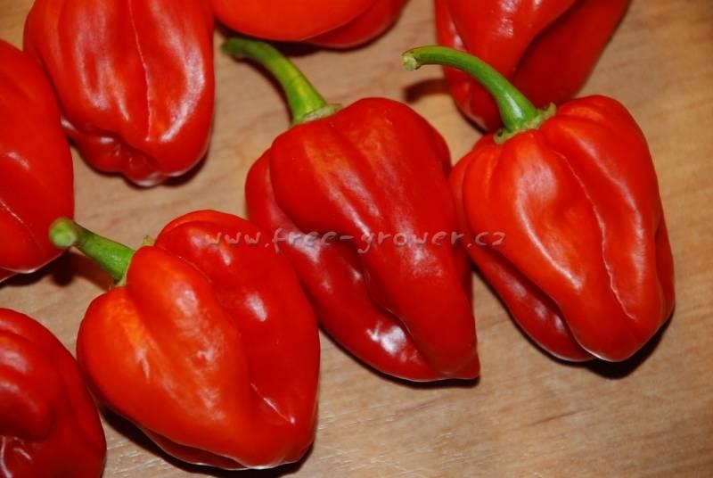 Habanero Red