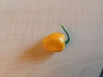 IMG_20180726_201226