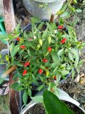 IMG_20180731_143421