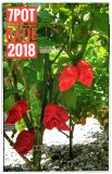 IMG_20180806_125422_HDR-01