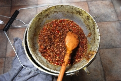 Chilli mast