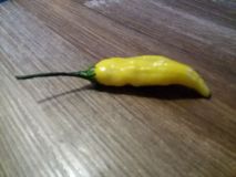 Aji Lemon Drop