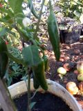 IMG_20180820_182700