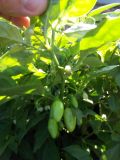 IMG_20180820_182904