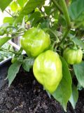 IMG_20180820_193026