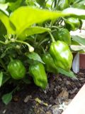 IMG_20180831_173820
