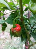 IMG_20180831_173704