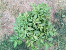 IMG_20180831_165509