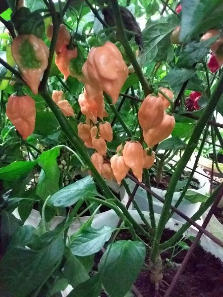 20180901_145508
