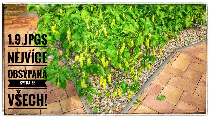 IMG_20180903_155914_HDR-02