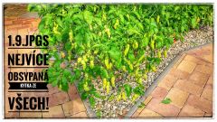 IMG_20180903_155914_HDR-02