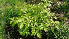 IMG_20180904_143714