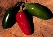 Jalapeno NuMex Primavera