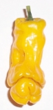 Yellow Peter Pepper (Penis Pepper)