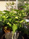 IMG_20180920_151110
