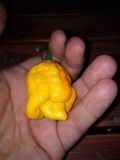 bonda_mahala1