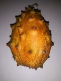 kiwano