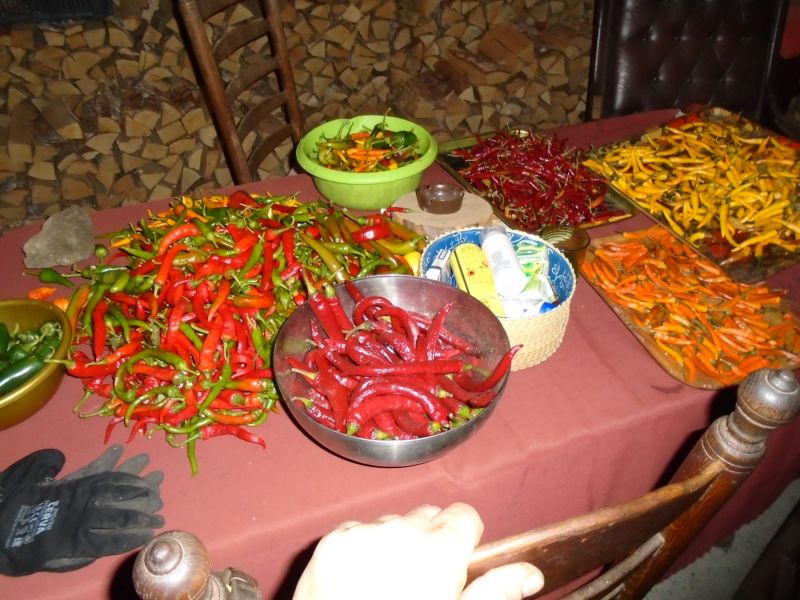 DSC02083