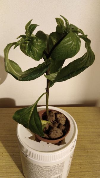 PHOTO_20190102_214821