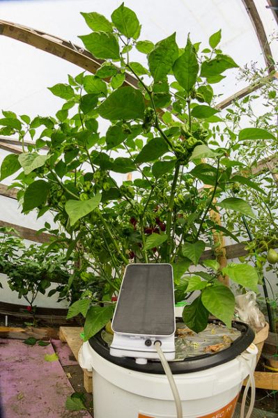 trinidad moruga (hydro)