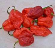 7-pot-chaguanas-pepper