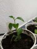 IMG_20190224_105239