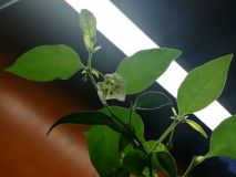 IMG_20190305_174359