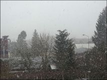 DSC05016