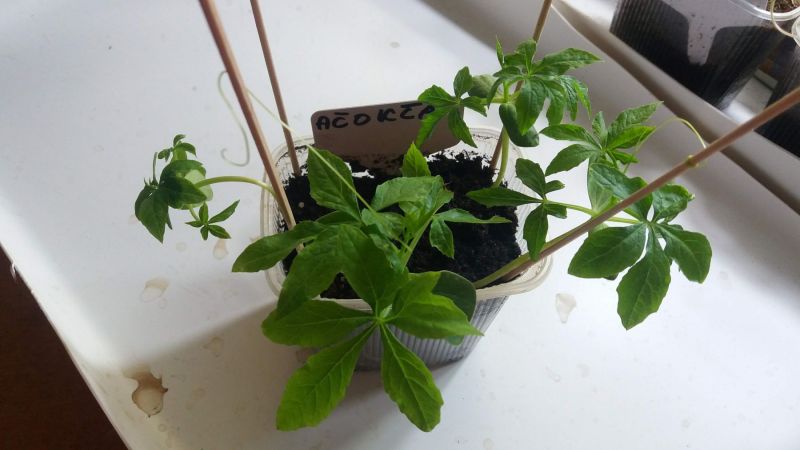 20190318_095040