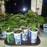 IMG_20190422_211212