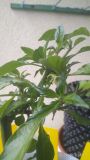 IMG_20190501_164141