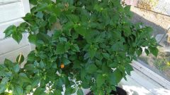 IMG_20190501_165107