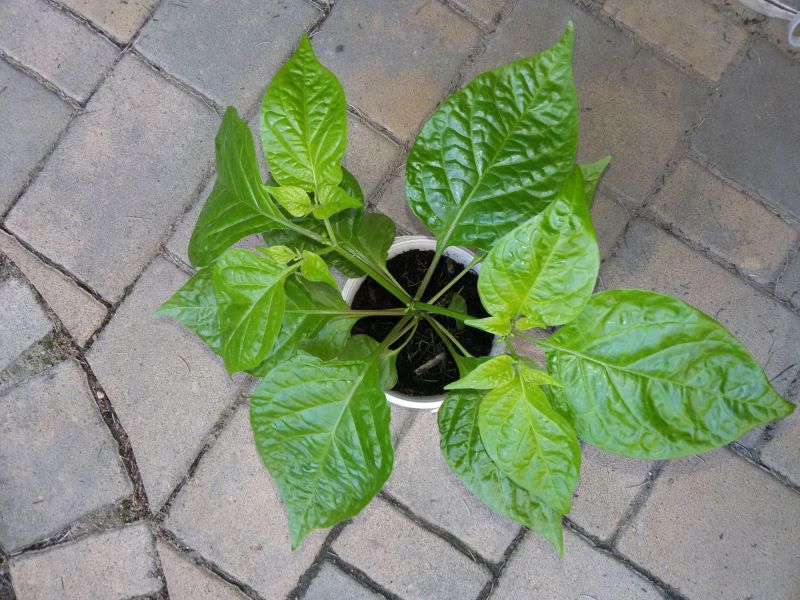 20190504_065722