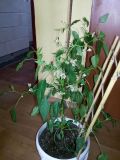 20190504_125812