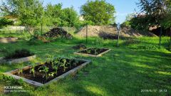 IMG_20190517_181250